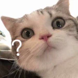 免费无遮挡🔞约
