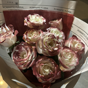 免费无遮挡🔞约
