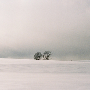 免费无遮挡🔞约
